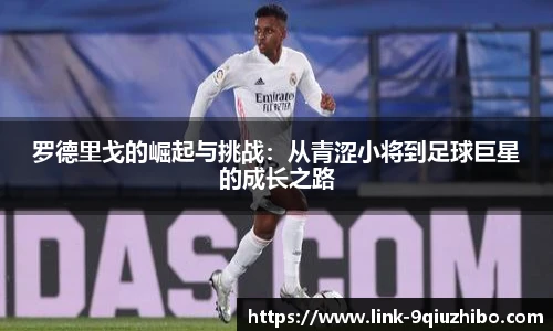九球直播